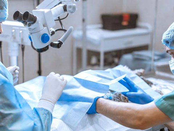 A professional ophthalmologist performs eye surgery with a micro A professional ophthalmologist performs eye surgery with a micro